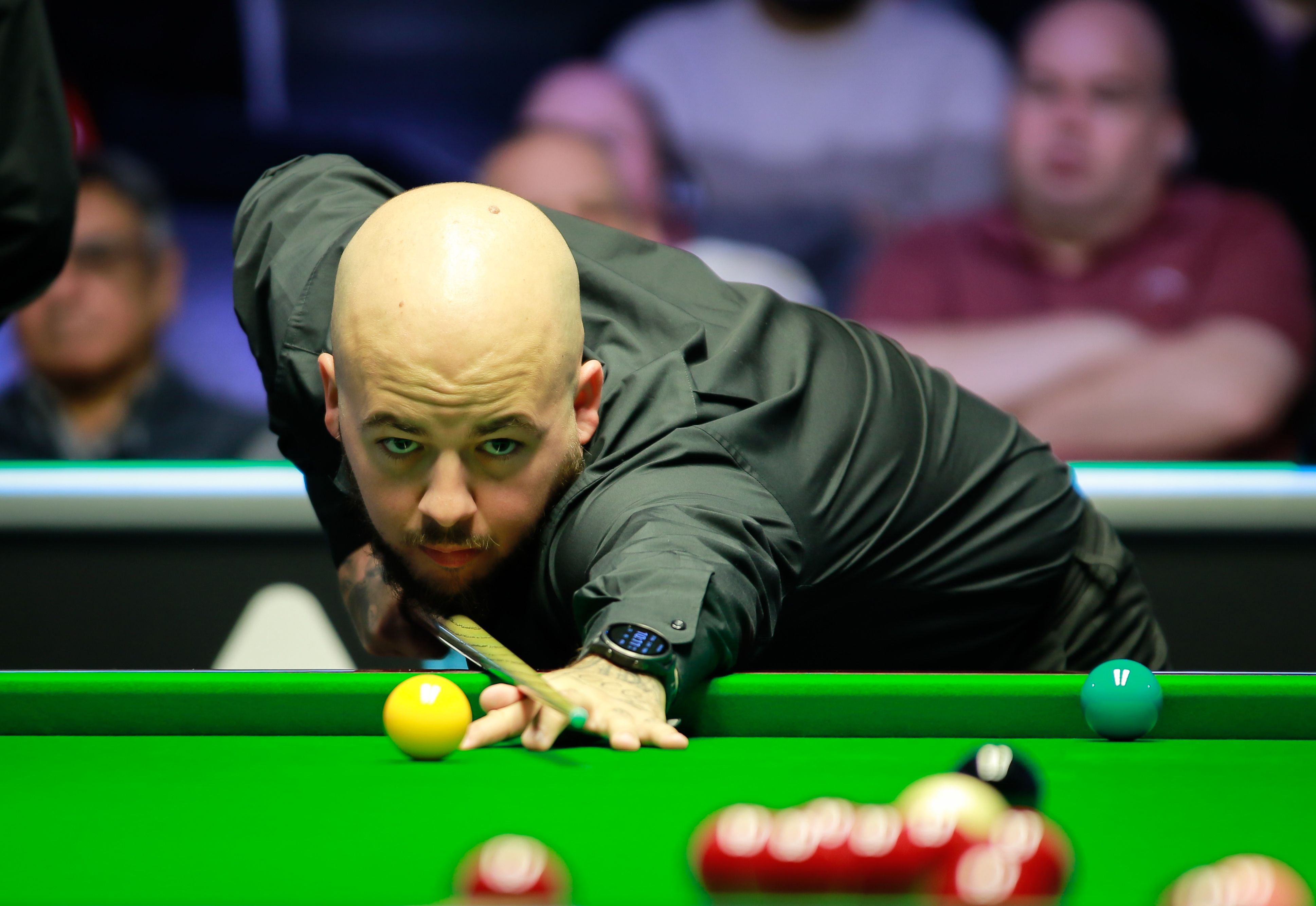 本届亚冬会 本届亚冬会