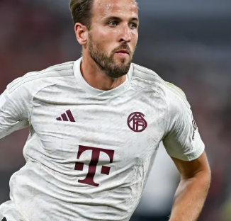 在他的经营 在他的经营