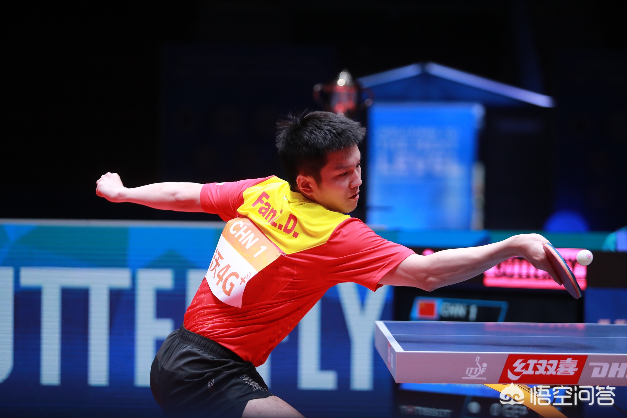 中都占据了 中都占据了